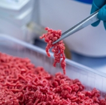 Svetski Ekonomski Forum traži „kulturnu revoluciju“ kako bi narodi širom sveta prihvatili veštačko meso photo